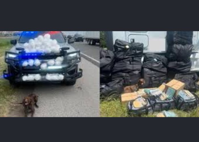 K9 Charlie Aids in Significant Oklahoma Drug Busts